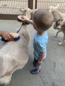 5 Most Underrated Rides at Walt Disney World's Animal Kingdom