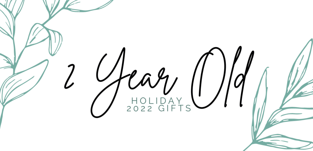 2 Year Old Holiday Gift Ideas